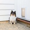 Hakuna Pets Small Deluxe Aluminium Pet Door White